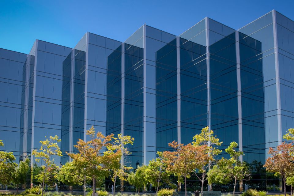 Our Roots in Silicon Valley